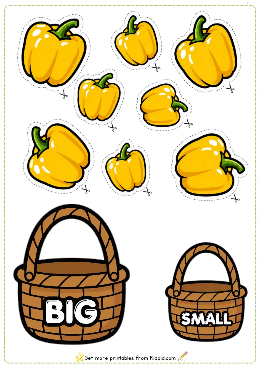 Big and Small Sorting Activity Worksheets for Children