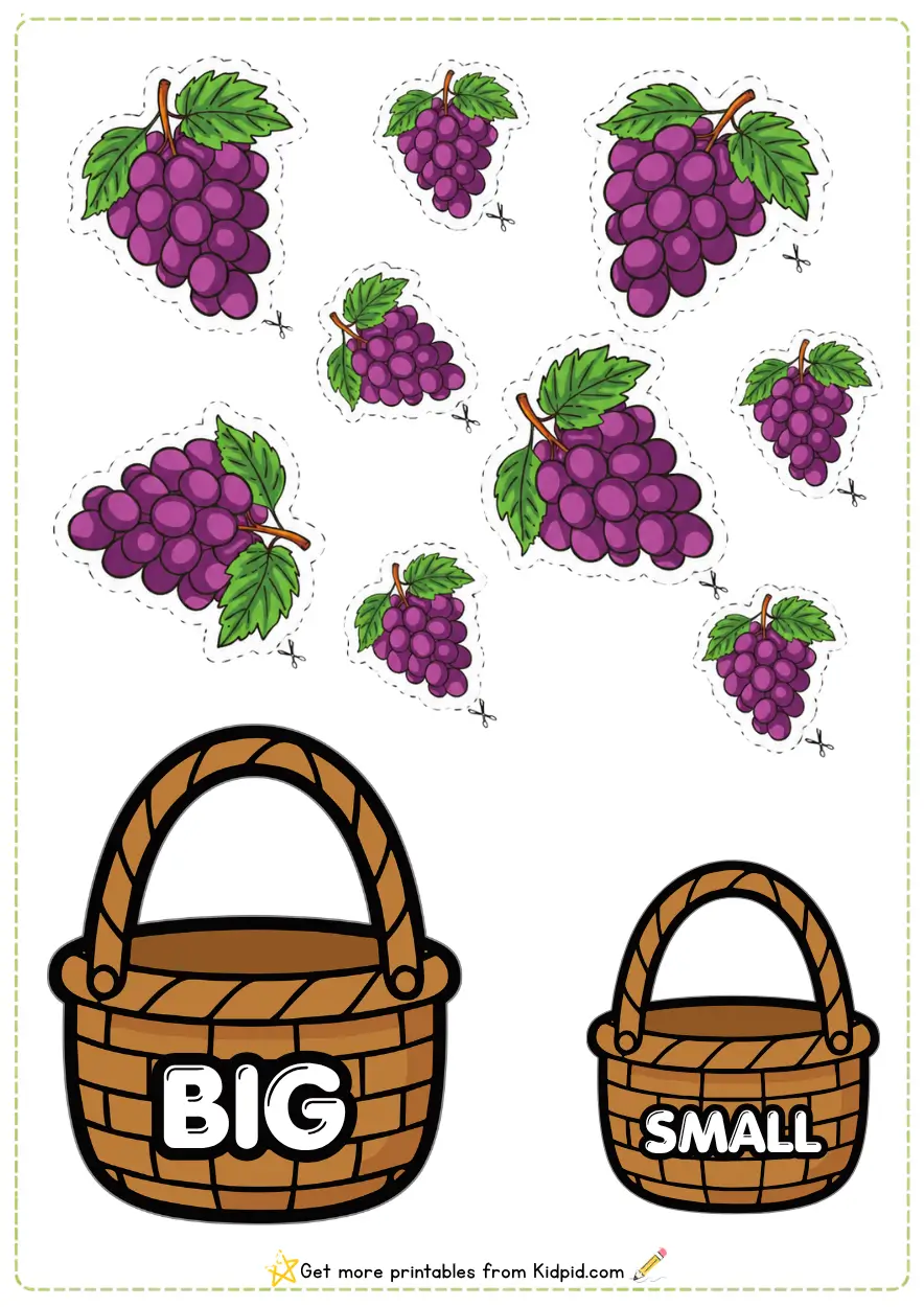 Big and Small Sorting Activity Worksheets for Children