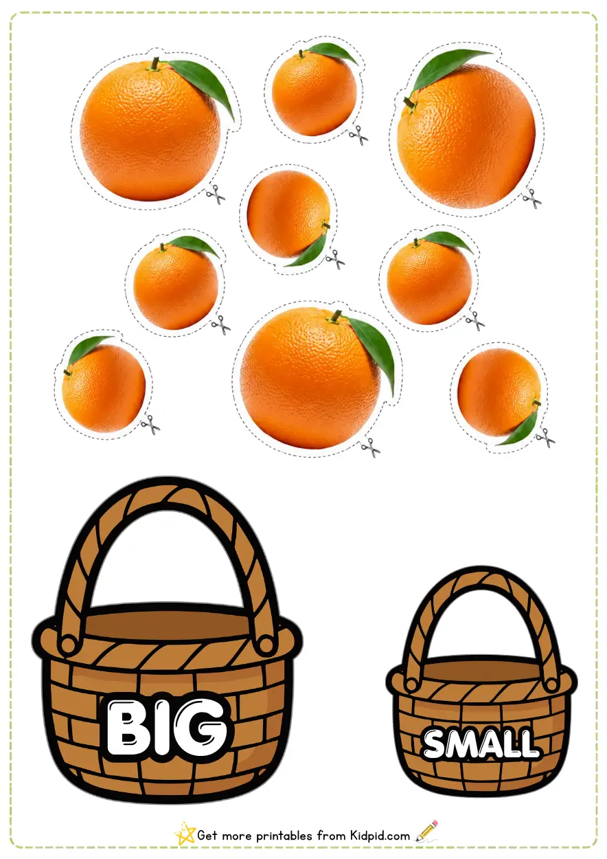 Big and Small Sorting Activity Worksheets for Children