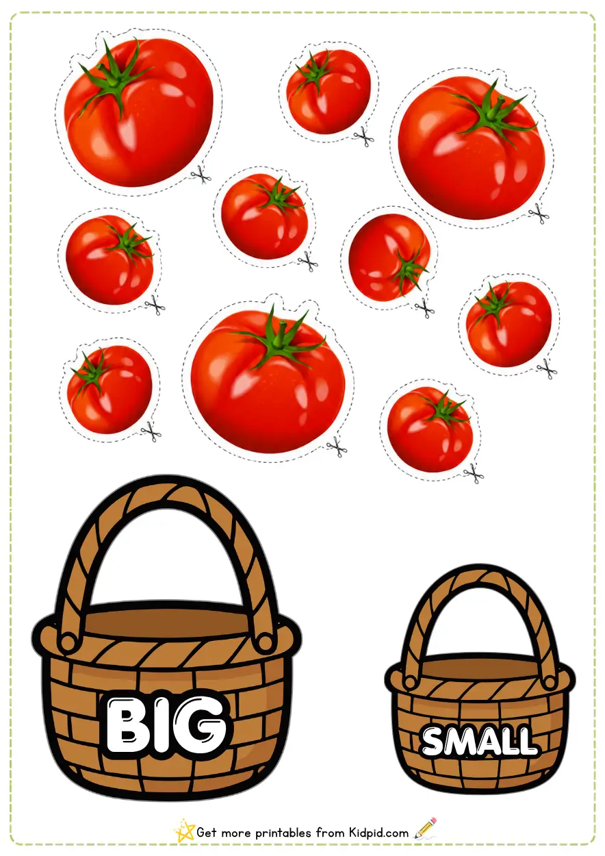 Big and Small Sorting Activity Worksheets for Children
