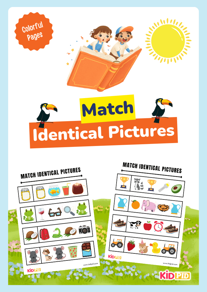 Match Identical Picture Worksheets