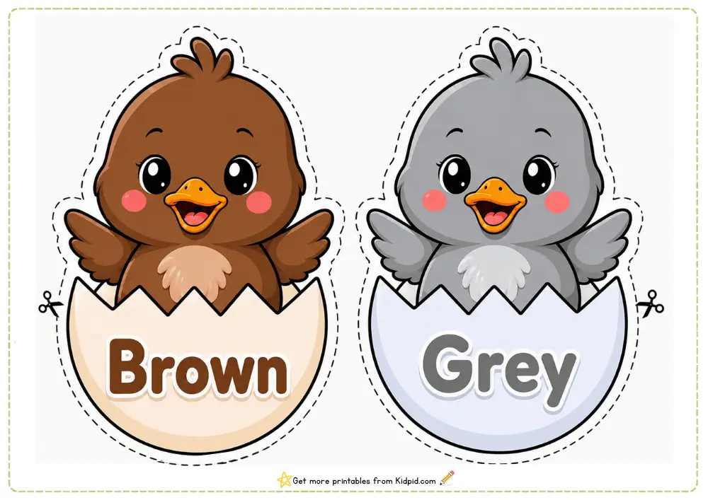 Color Words & Chicks – Printable Classroom Display