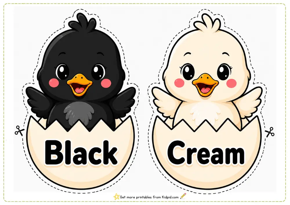 Color Words & Chicks – Printable Classroom Display