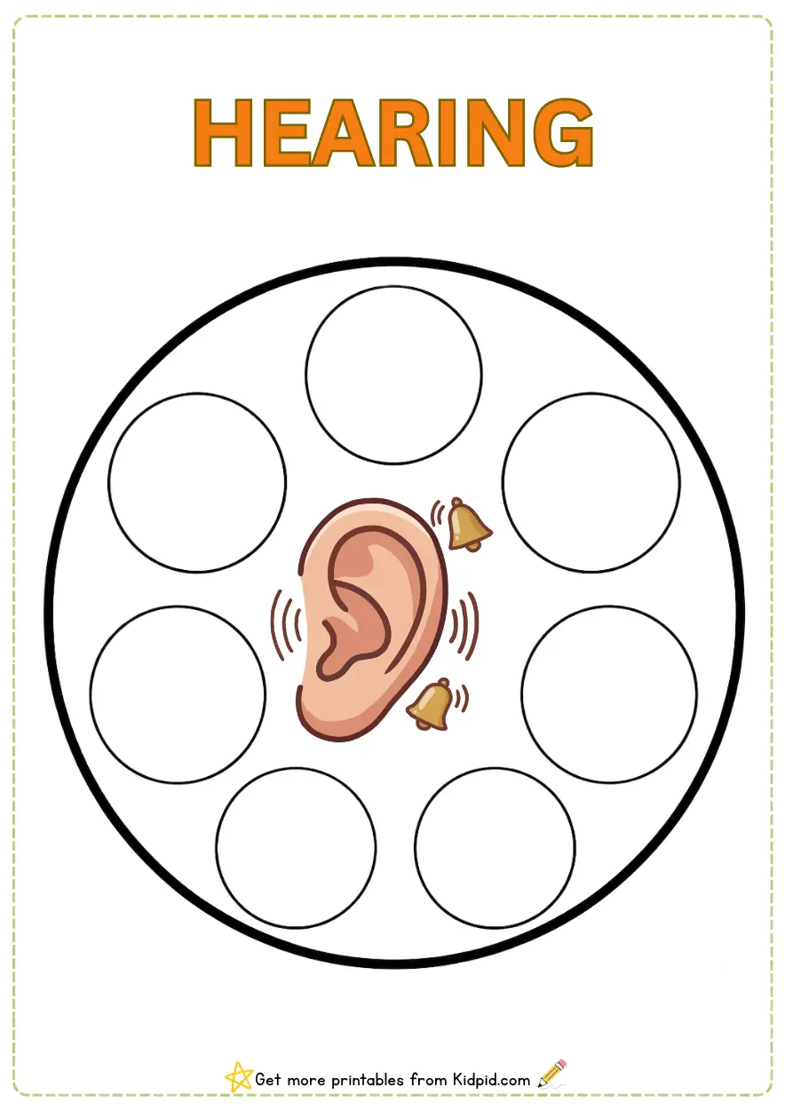 Five Senses Sorting Printable Activity